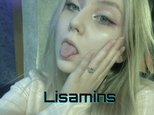 Lisamins