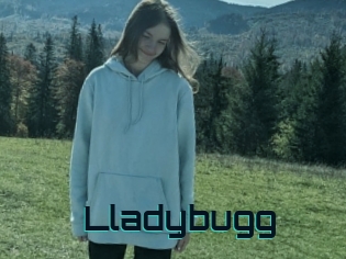 Lladybugg