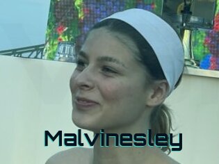 Malvinesley