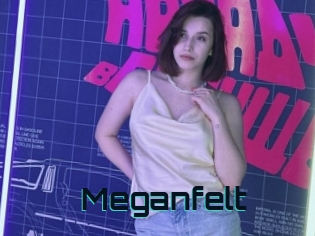 Meganfelt