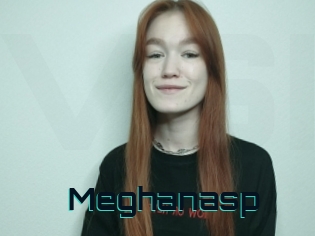 Meghanasp