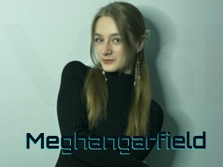 Meghangarfield