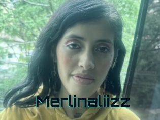 Merlinaliizz