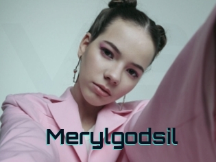 Merylgodsil