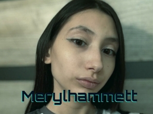 Merylhammett