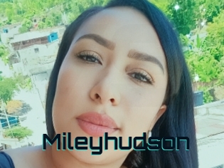 Mileyhudson