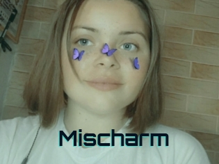 Mischarm