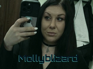 Mollyblizard