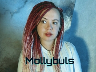 Mollybuls