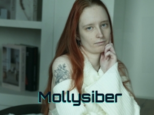 Mollysiber