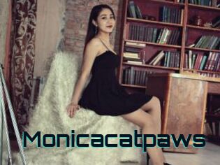 Monicacatpaws