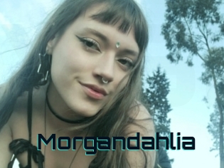 Morgandahlia