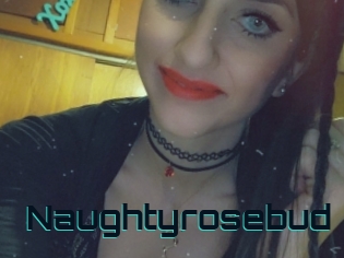 Naughtyrosebud