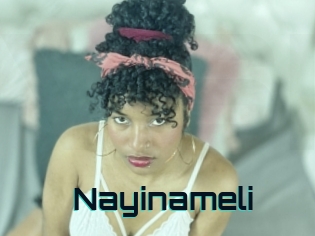 Nayinameli