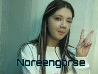 Noreengorse