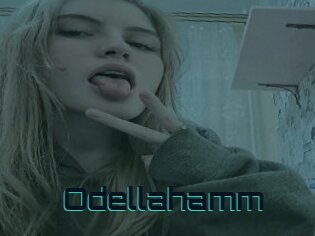 Odellahamm