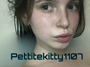 Pettitekitty1107