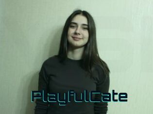 PlayfulCate