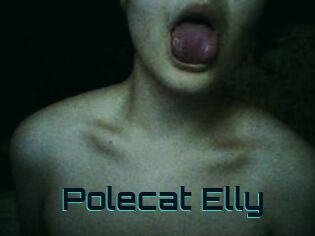 Polecat_Elly