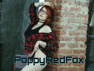 PoppyRedFox