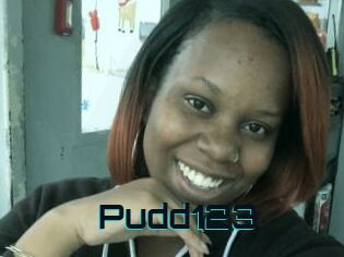 Pudd123