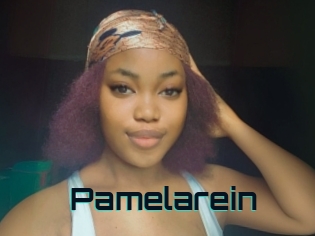 Pamelarein