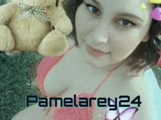 Pamelarey24