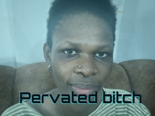 Pervated_bitch