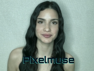 Pixelmuse