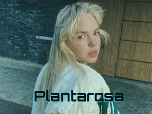 Plantarosa