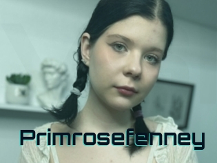 Primrosefenney