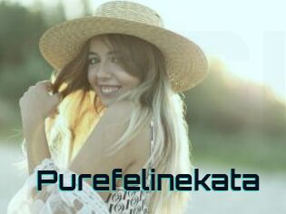 Purefelinekata