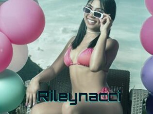 Rileynacci