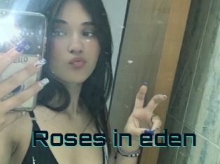 Roses_in_eden