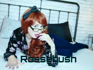 Rossebush