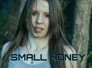 SMALL_HONEY