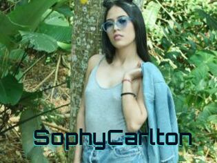 SophyCarlton