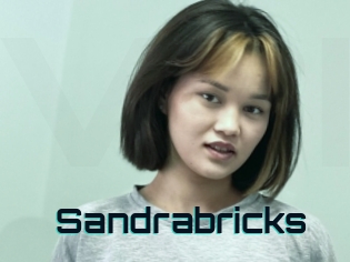 Sandrabricks