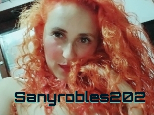 Sanyrobles202