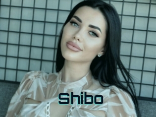 Shibo