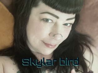 Skylar_bird