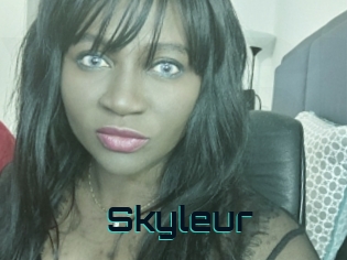 Skyleur