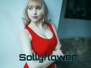 Sollyflower