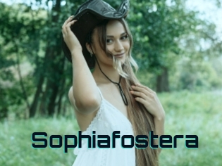 Sophiafostera