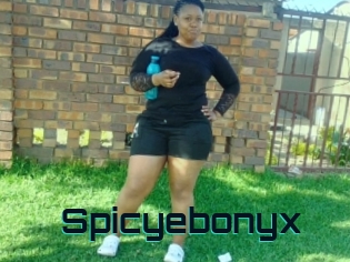 Spicyebonyx