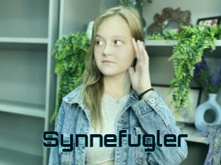 Synnefugler