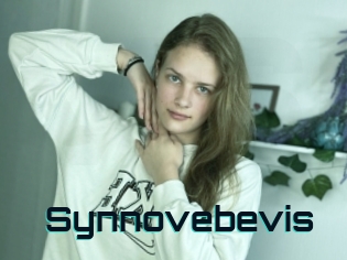 Synnovebevis