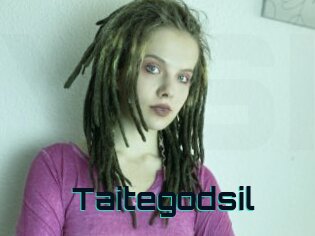 Taitegodsil