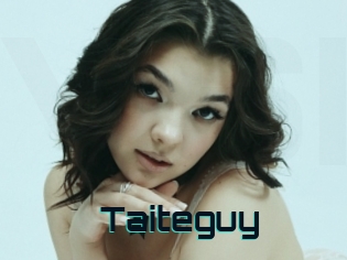 Taiteguy