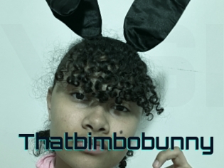 Thatbimbobunny